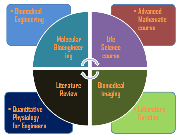 Biomedical science dissertation help