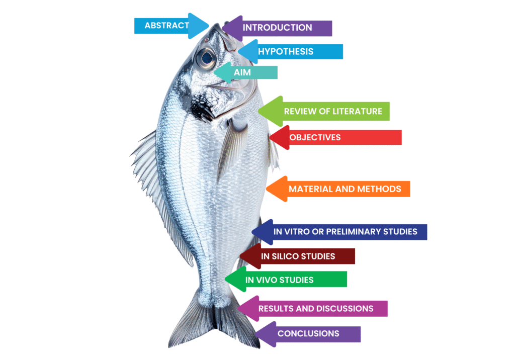 Structuring the PhD Proposal: Key Components