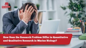 Quantitative and Qualitative Research blog image