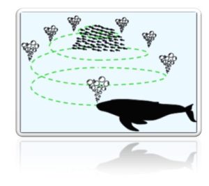 Dissertation Algorithm Tips For Developing Whale Optimization Algorithm (Woa) –  Where And How It Apply In The Engineering And Medical Applications