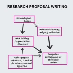 phd proposal rejected