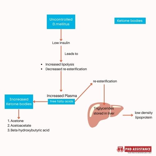 The relationship between clinical and biochemical findings with diabetic ketoacidosis 1
