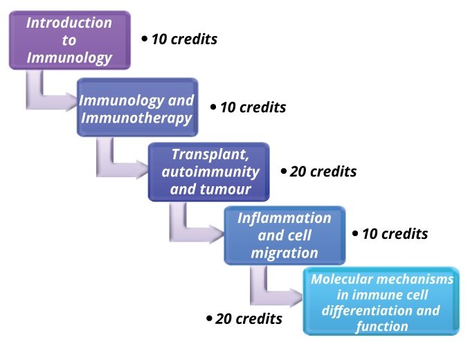 dissertation topics in immunology