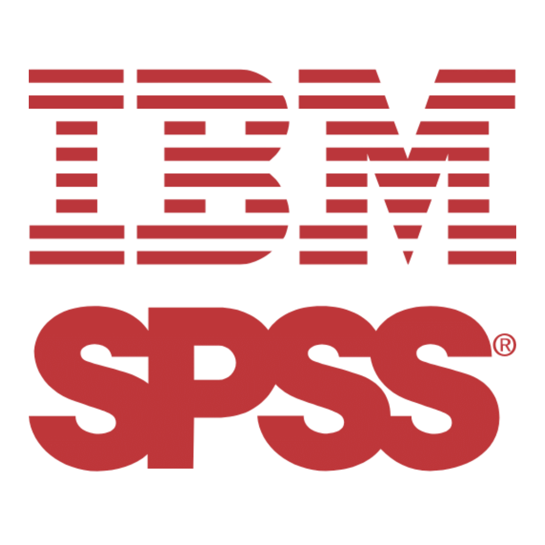 spss image by manuscript service