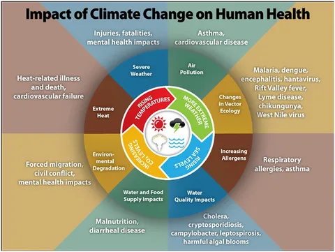 climate change on human health sample work by literature review service image  