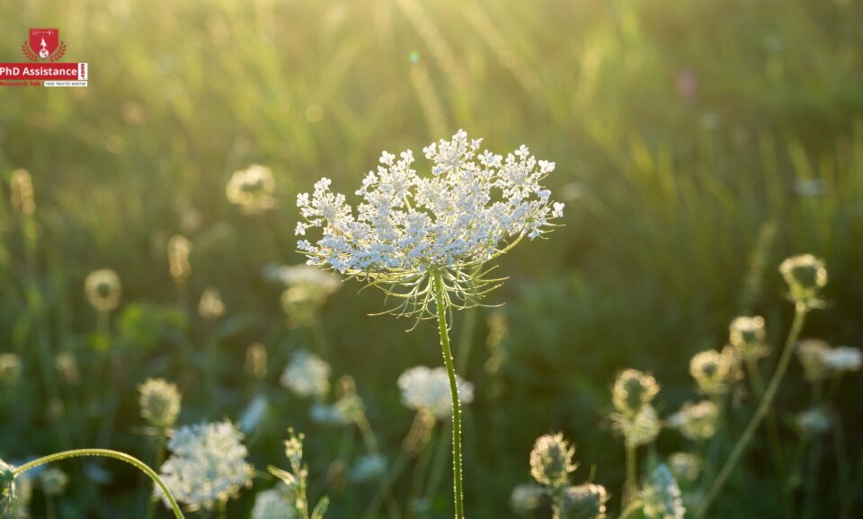Plant Diversity in Asia: From Past to Present