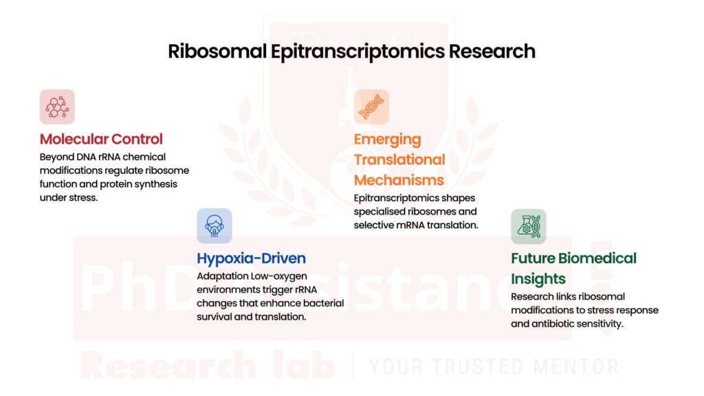 Ribosomal Research