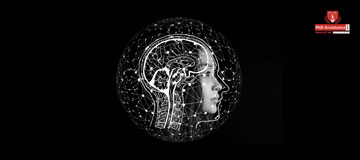 temporal dynamics in neurodevelopment