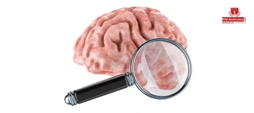 Research Advances in Neurodegenerative Diseases