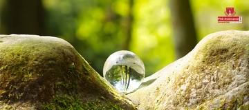 Regional hydrological change