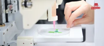 Biomaterial Cell–Material Interactions and Mechanism