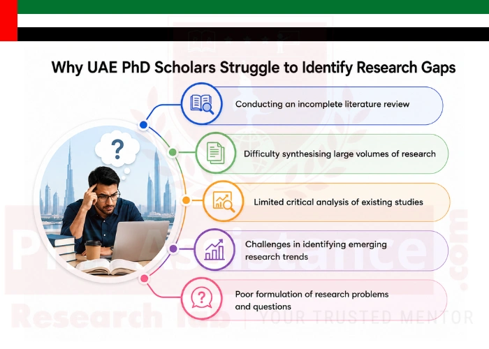 PhD Literature Review Help in UAE