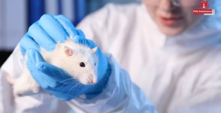 Preclinical Research