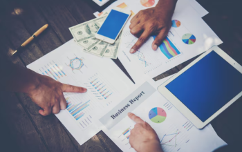 The Management of Value Adding and Wealth Creation in the Gambia sample work image